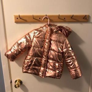 Winter Jacket (24M) Steve Madden